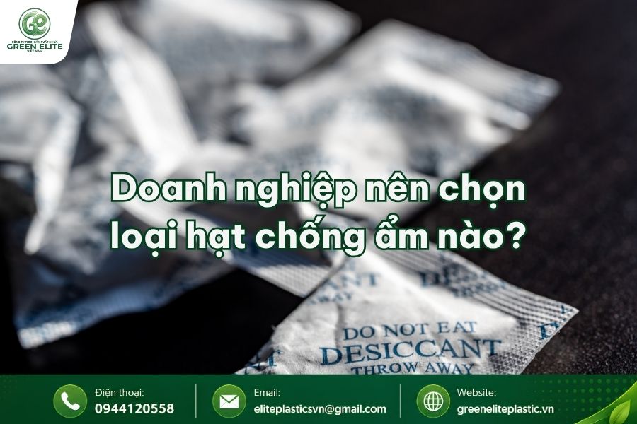 doanh nghiep nen chon loai hat chong am nao
