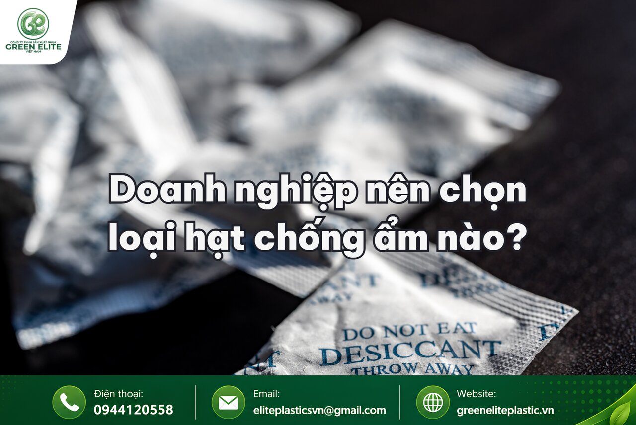 doanh nghiep nen chon loai hat hut am nao