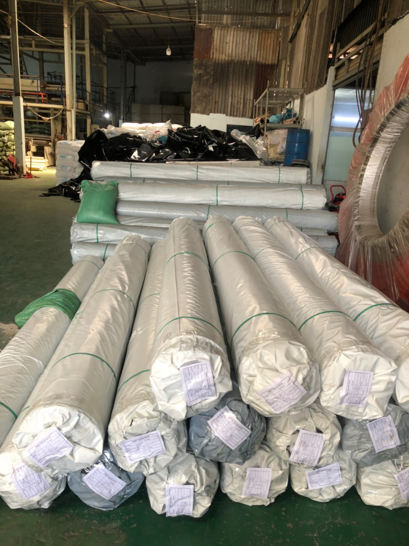 Quy chuẩn chất lượng đầu ra