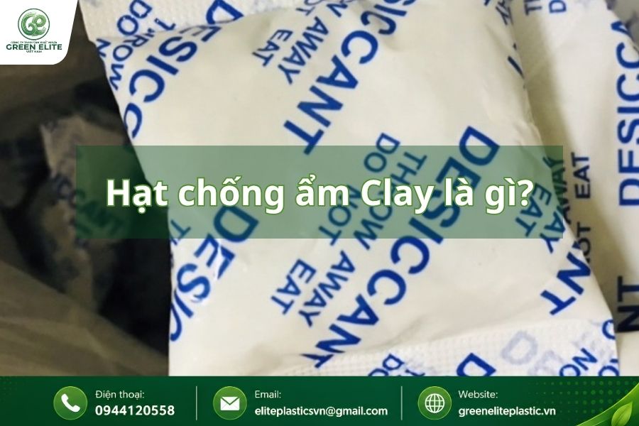hat hut am clay là gì