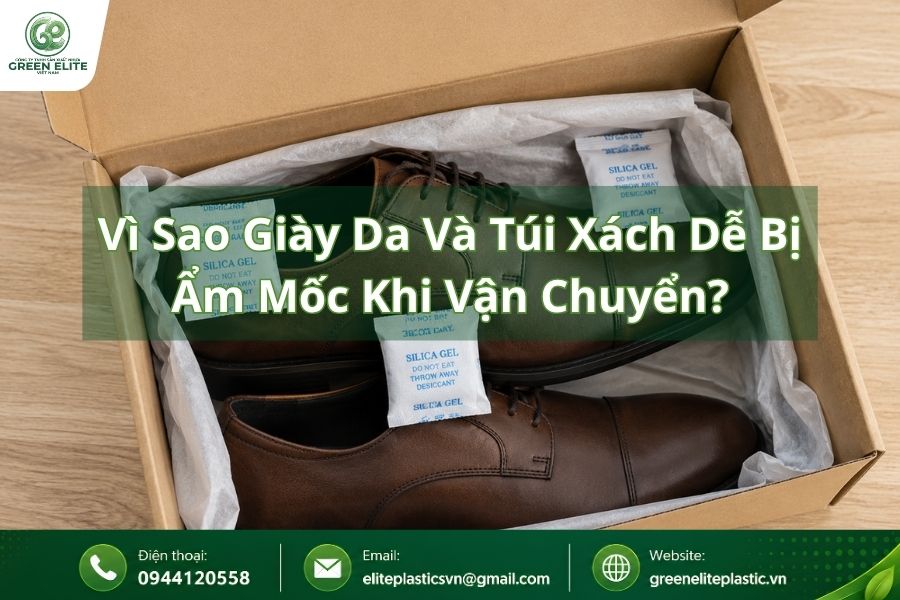 tai sao can goi hut am giay da