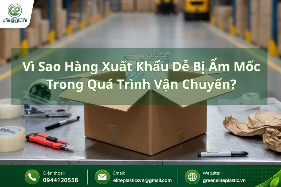 vi sao hang xuat khau de bi am moc
