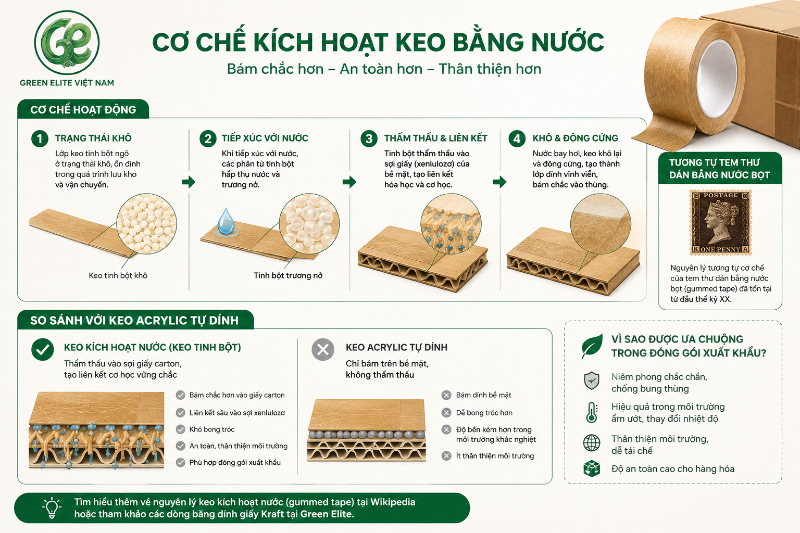Cơ chế kích hoạt bám dính