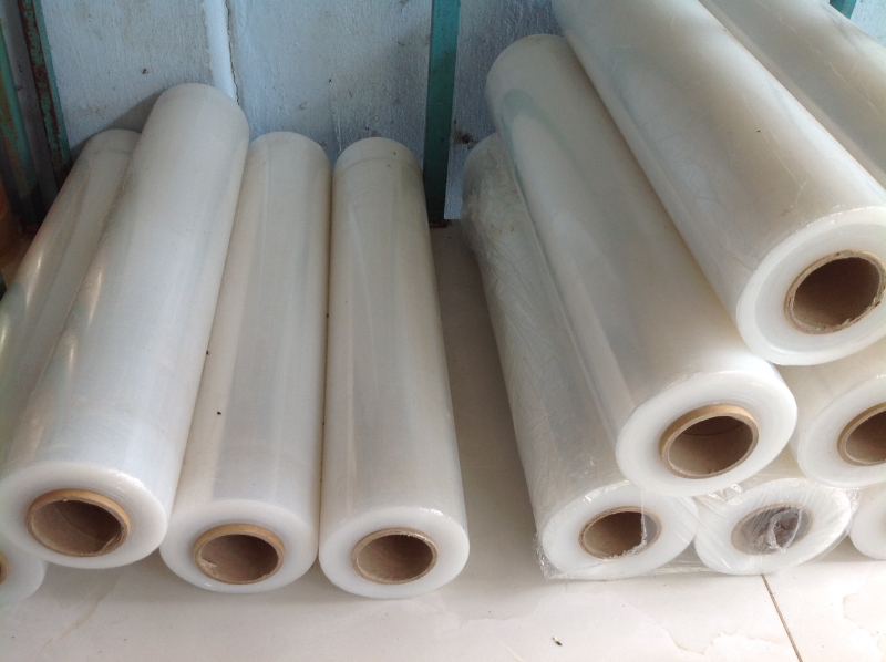 Nhận biết màng chít 50cm